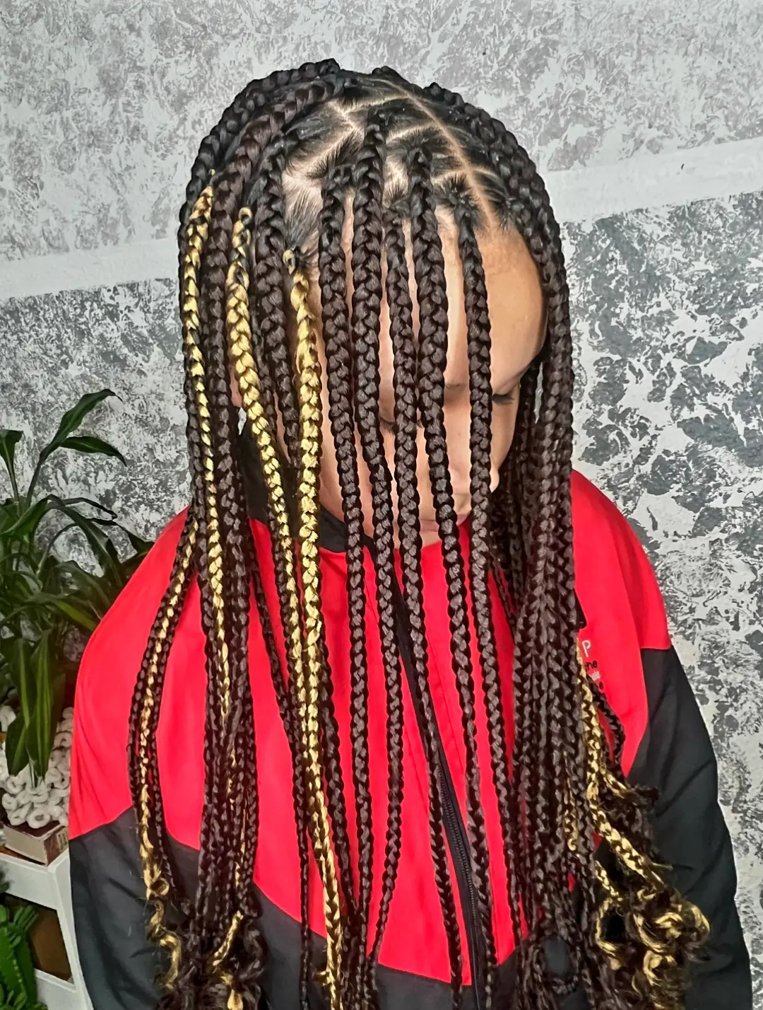 Braided style by Zaina